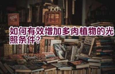 如何有效增加多肉植物的光照条件？