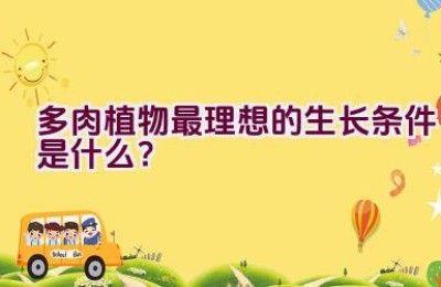 多肉植物最理想的生长条件是什么？