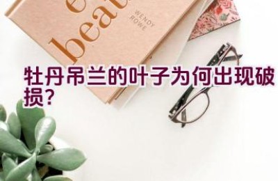 牡丹吊兰的叶子为何出现破损？