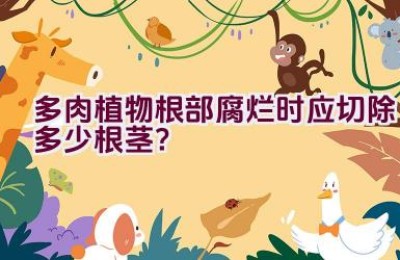 多肉植物根部腐烂时应切除多少根茎？