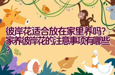 彼岸花适合放在家里养吗？家养彼岸花的注意事项有哪些？