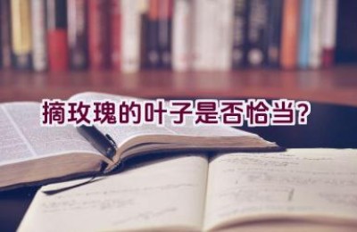 摘玫瑰的叶子是否恰当？