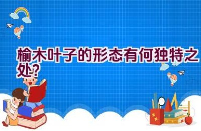 榆木叶子的形态有何独特之处？