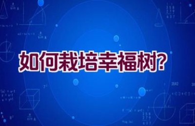 如何栽培幸福树？