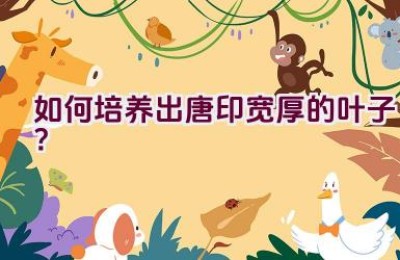 如何培养出唐印宽厚的叶子？