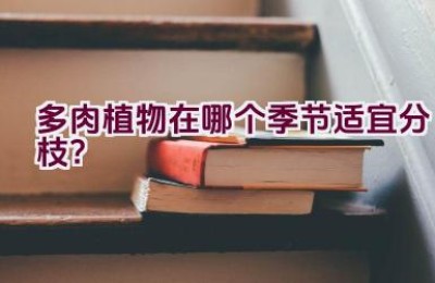 多肉植物在哪个季节适宜分枝？