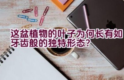 这盆植物的叶子为何长有如牙齿般的独特形态？