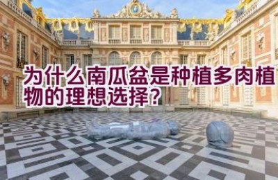 为什么南瓜盆是种植多肉植物的理想选择？