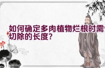 如何确定多肉植物烂根时需切除的长度？