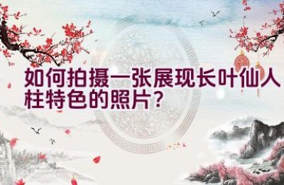 如何拍摄一张展现长叶仙人柱特色的照片？
