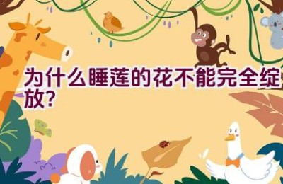 为什么睡莲的花不能完全绽放？