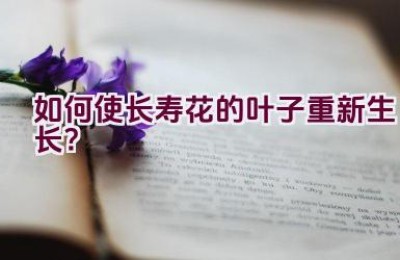 如何使长寿花的叶子重新生长？