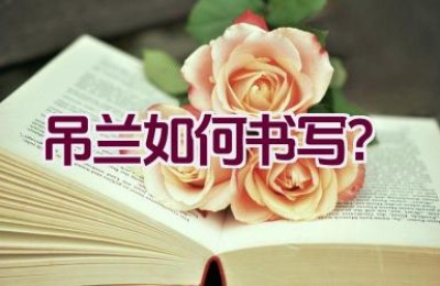 吊兰如何书写？