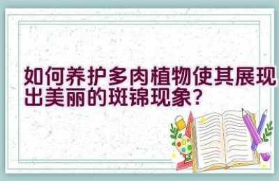 如何养护多肉植物使其展现出美丽的斑锦现象？