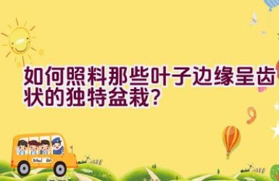 如何照料那些叶子边缘呈齿状的独特盆栽？
