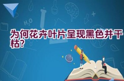 为何花卉叶片呈现黑色并干枯？