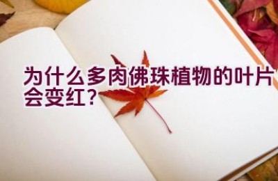 为什么多肉佛珠植物的叶片会变红？