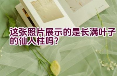 这张照片展示的是长满叶子的仙人柱吗？