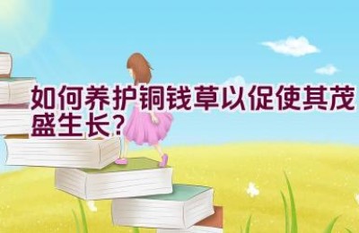 如何养护铜钱草以促使其茂盛生长？