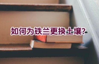 如何为铁兰更换土壤？