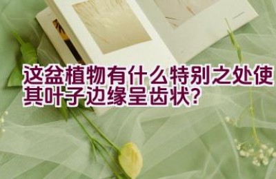 这盆植物有什么特别之处使其叶子边缘呈齿状？