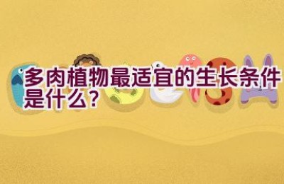 多肉植物最适宜的生长条件是什么？