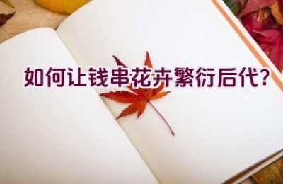 如何让钱串花卉繁衍后代？