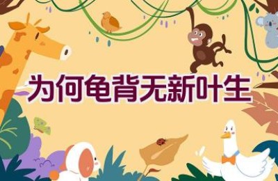 为何龟背无新叶生