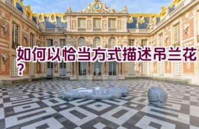 如何以恰当方式描述吊兰花？