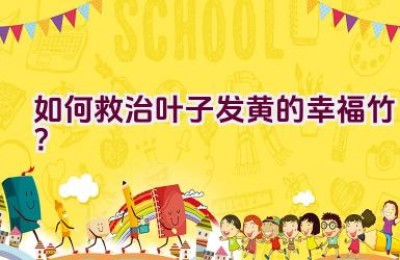 如何救治叶子发黄的幸福竹？