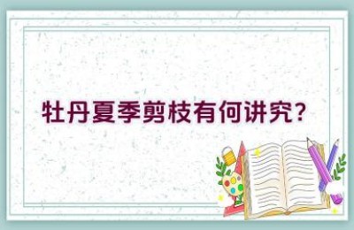 牡丹夏季剪枝有何讲究？