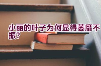小丽的叶子为何显得萎靡不振？