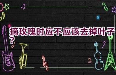 摘玫瑰时应不应该去掉叶子？