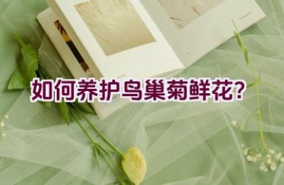 如何养护鸟巢菊鲜花？