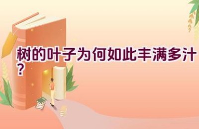 树的叶子为何如此丰满多汁？