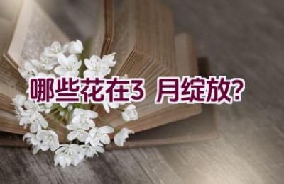 哪些花在3月绽放？