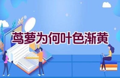 茑萝为何叶色渐黄