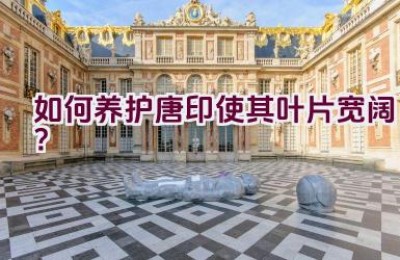 如何养护唐印使其叶片宽阔？