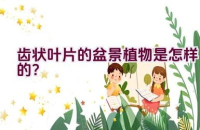 齿状叶片的盆景植物是怎样的？