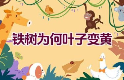 铁树为何叶子变黄