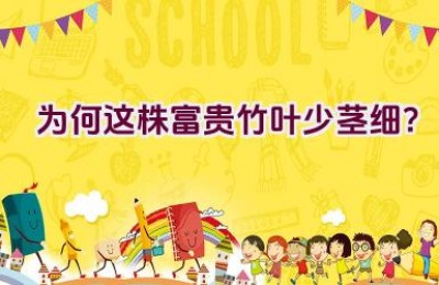 为何这株富贵竹叶少茎细？