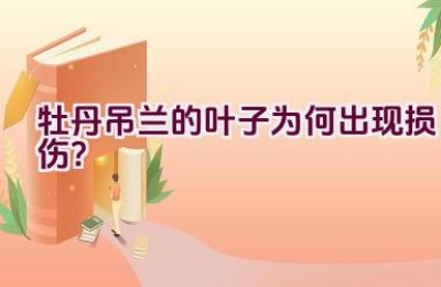 牡丹吊兰的叶子为何出现损伤？