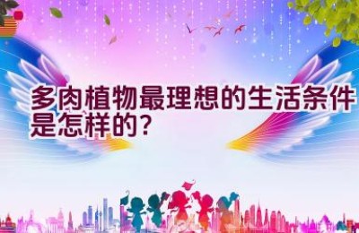 多肉植物最理想的生活条件是怎样的？