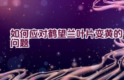 如何应对鹤望兰叶片变黄的问题