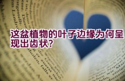 这盆植物的叶子边缘为何呈现出齿状？