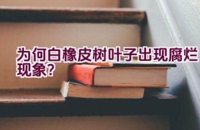 为何白橡皮树叶子出现腐烂现象？