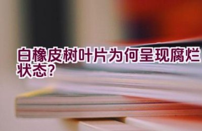 白橡皮树叶片为何呈现腐烂状态？