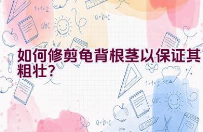 如何修剪龟背根茎以保证其粗壮？