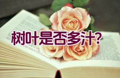 树叶是否多汁？