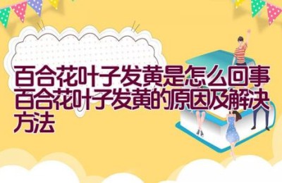 百合花叶子发黄是怎么回事（百合花叶子发黄的原因及解决方法）